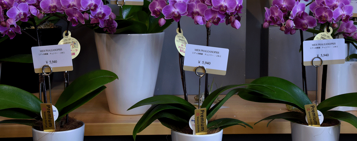 A flower shop display made of durable, easily visible price tags