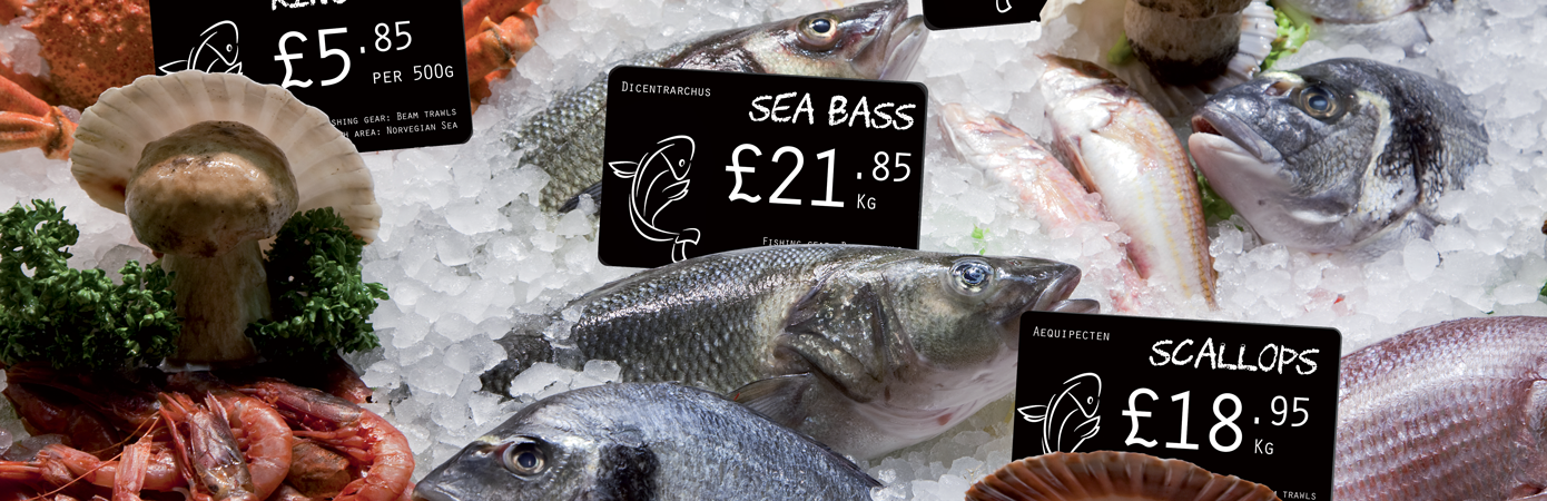 Price tags for fishmongers in situ